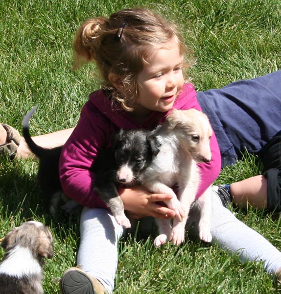 Pups 3 and 4 with child